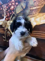 processed/e8500251-e669-44b7-a4bd-fc94882f3e4e/listing/060fdc9f-a17c-4acf-ad2f-d729e7a522a9/e19f2bff-9240-4ea5-9951-9f0aa49ecd0b