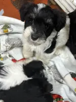 processed/e8500251-e669-44b7-a4bd-fc94882f3e4e/listing/060fdc9f-a17c-4acf-ad2f-d729e7a522a9/f4696af9-419f-469c-8e5b-84d101865f95