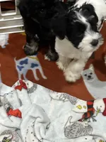 processed/e8500251-e669-44b7-a4bd-fc94882f3e4e/listing/060fdc9f-a17c-4acf-ad2f-d729e7a522a9/f715bb89-1f64-4e8e-90b9-55b6e356b1a0