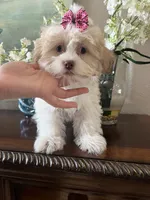 processed/e8500251-e669-44b7-a4bd-fc94882f3e4e/listing/18ad1a36-6359-4010-86d3-85d86b65374c/b8ac8a61-9085-4d3c-9a8a-49174582bd93