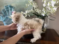 processed/e8500251-e669-44b7-a4bd-fc94882f3e4e/listing/18ad1a36-6359-4010-86d3-85d86b65374c/c16f8d73-15f0-4ae8-b640-98813a526eea