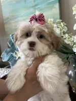 processed/e8500251-e669-44b7-a4bd-fc94882f3e4e/listing/18ad1a36-6359-4010-86d3-85d86b65374c/c7d4bd71-86e9-46e0-a30b-915f42eced39