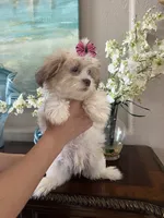 processed/e8500251-e669-44b7-a4bd-fc94882f3e4e/listing/18ad1a36-6359-4010-86d3-85d86b65374c/cfc454cb-4844-4057-a814-fe435bfaa727