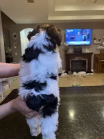 processed/e8500251-e669-44b7-a4bd-fc94882f3e4e/listing/285473c3-4ccc-4f91-8514-026fe8ccc24a/0789d018-d927-475c-8b8e-32f110b6f017