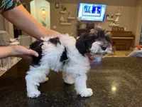 processed/e8500251-e669-44b7-a4bd-fc94882f3e4e/listing/285473c3-4ccc-4f91-8514-026fe8ccc24a/94031e2d-9ade-45d8-bf01-83099e39ccf0