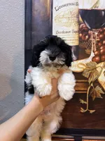 processed/e8500251-e669-44b7-a4bd-fc94882f3e4e/listing/285473c3-4ccc-4f91-8514-026fe8ccc24a/9b53b92a-1a7e-4dec-9afc-06189ea647ae