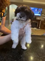 processed/e8500251-e669-44b7-a4bd-fc94882f3e4e/listing/285473c3-4ccc-4f91-8514-026fe8ccc24a/ed4019ba-0eea-4e24-b509-bcf9a1cdc281