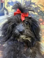 processed/e8500251-e669-44b7-a4bd-fc94882f3e4e/listing/a69c6d16-3b72-4e43-8dde-92deed1c2cde/007aa6c1-341f-4824-94d7-1aba406131af