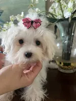 processed/e8500251-e669-44b7-a4bd-fc94882f3e4e/listing/f036c25e-9060-488b-b883-ce63a246cffb/067cfa78-a568-4aa2-b966-c8e15e9106df