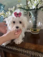 processed/e8500251-e669-44b7-a4bd-fc94882f3e4e/listing/f036c25e-9060-488b-b883-ce63a246cffb/0c6d1e3b-6e01-4808-879f-a3a4d45b81c6