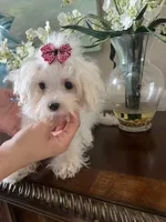 processed/e8500251-e669-44b7-a4bd-fc94882f3e4e/listing/f036c25e-9060-488b-b883-ce63a246cffb/89e9a06c-7079-4502-8f3c-062018bd1f5a