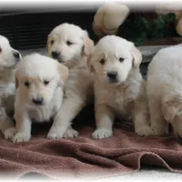 processed/e8560021-aa79-4177-af33-56aa8e24864e/facility/35d5dd08-b068-47ed-b4f1-5316a553fe7c