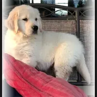 processed/e8560021-aa79-4177-af33-56aa8e24864e/facility/40ff5a14-428f-4193-986b-a012f617c2dc