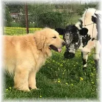 processed/e8560021-aa79-4177-af33-56aa8e24864e/facility/42e9801b-2ecb-4fbf-9065-264cfea5d6b2