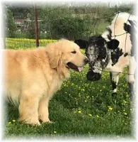 processed/e8560021-aa79-4177-af33-56aa8e24864e/facility/42e9801b-2ecb-4fbf-9065-264cfea5d6b2