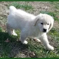 processed/e8560021-aa79-4177-af33-56aa8e24864e/facility/5314330f-eb7d-4f28-92e2-594998543686