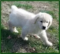 processed/e8560021-aa79-4177-af33-56aa8e24864e/facility/5314330f-eb7d-4f28-92e2-594998543686