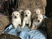 processed/e8560021-aa79-4177-af33-56aa8e24864e/facility/59fbb7cf-ca88-46ec-9a94-00d773a789ec