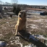 processed/e8560021-aa79-4177-af33-56aa8e24864e/facility/713e78ff-6503-49a9-9c11-f2af20525feb