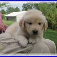 processed/e8560021-aa79-4177-af33-56aa8e24864e/facility/7a5f5a6e-0619-4d4c-924e-4f7e0bf25f7e