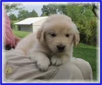 processed/e8560021-aa79-4177-af33-56aa8e24864e/facility/7a5f5a6e-0619-4d4c-924e-4f7e0bf25f7e