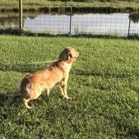 processed/e8560021-aa79-4177-af33-56aa8e24864e/facility/c804636e-4871-4d61-8082-98f7670ae2a7