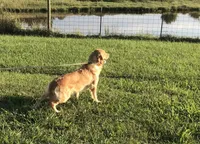 processed/e8560021-aa79-4177-af33-56aa8e24864e/facility/c804636e-4871-4d61-8082-98f7670ae2a7