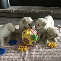 processed/e8560021-aa79-4177-af33-56aa8e24864e/facility/d9064673-3b86-4e50-a3b8-35569ede8482