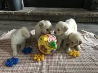 processed/e8560021-aa79-4177-af33-56aa8e24864e/facility/d9064673-3b86-4e50-a3b8-35569ede8482