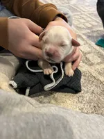 processed/e8560021-aa79-4177-af33-56aa8e24864e/listing/5840a934-580f-47bc-9f46-8823a4a6961d/43d0c82d-fcf5-4976-88c4-ad0b75cda67f