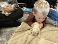 processed/e8560021-aa79-4177-af33-56aa8e24864e/listing/5840a934-580f-47bc-9f46-8823a4a6961d/d308bf1a-881b-43fc-bd62-b0a6677c78c6