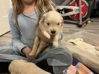 processed/e8560021-aa79-4177-af33-56aa8e24864e/listing/5840a934-580f-47bc-9f46-8823a4a6961d/d9163147-b576-48ac-90ca-6b2d70005f5c