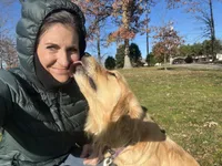 Am Gold Female, a female Golden Retriever for sale in Nashville, TN – Photo 4 of 7