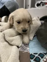 processed/e8560021-aa79-4177-af33-56aa8e24864e/listing/e5d13d35-ca0e-4dca-b72c-a9226fe45cc6/6585f187-cfa6-4881-9d3a-47ab827dedce