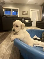 processed/e8560021-aa79-4177-af33-56aa8e24864e/listing/e5d13d35-ca0e-4dca-b72c-a9226fe45cc6/ae52b224-b7f7-4d0f-9751-2f69d5b55607