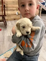 processed/e8560021-aa79-4177-af33-56aa8e24864e/listing/e5d13d35-ca0e-4dca-b72c-a9226fe45cc6/f676dc36-6f02-464b-868c-60d5b9e6b739