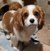 processed/e859e16c-e7a9-46f8-b4b7-7928b570b163/listing/0616922f-6098-4c27-a39c-4098d7cd980c/c1bc12e8-5188-4ec9-9165-66581a262cf9