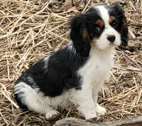 processed/e859e16c-e7a9-46f8-b4b7-7928b570b163/listing/1bb92af2-3b0c-47c3-931e-d69740a723df/2b3ec142-342c-4a53-8f94-9dfb570705d5