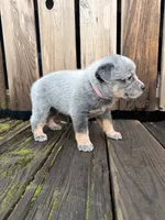 processed/e8684f79-5435-413c-9c7a-85fc9ff7e2ca/listing/92296828-4287-479e-ac78-c8424196e7b5/0044f992-edb1-4fec-917c-0c4dba7cd6b5