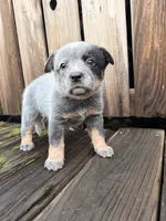 processed/e8684f79-5435-413c-9c7a-85fc9ff7e2ca/listing/92296828-4287-479e-ac78-c8424196e7b5/2e837344-9f18-473e-97f3-f6973b1354bf