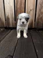 processed/e8684f79-5435-413c-9c7a-85fc9ff7e2ca/listing/ac44252f-37e2-463b-a07b-75eeee768877/fff8e1a6-1ba3-43c5-aef5-c22eb097b3e4