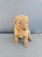 Mila , a female Goldendoodle for sale in Rancho Cordova, CA – Photo 3 of 7