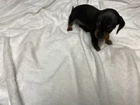 processed/e875d019-d1c3-4fdc-9722-7b762df54e96/listing/4bb14c07-c2ca-4515-a80e-f2bc6fc40cf1/13ccfab7-99ef-4504-a0c8-197d78bc9304