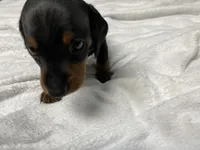 processed/e875d019-d1c3-4fdc-9722-7b762df54e96/listing/4bb14c07-c2ca-4515-a80e-f2bc6fc40cf1/38db4e92-4b96-4703-bc0f-da9bee477a4c