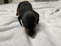 processed/e875d019-d1c3-4fdc-9722-7b762df54e96/listing/4bb14c07-c2ca-4515-a80e-f2bc6fc40cf1/4e3a1c93-c02f-4320-888a-45511e988e5a