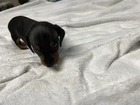 processed/e875d019-d1c3-4fdc-9722-7b762df54e96/listing/4bb14c07-c2ca-4515-a80e-f2bc6fc40cf1/773d192e-986d-49aa-af41-d5722dc9cb6f