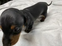 processed/e875d019-d1c3-4fdc-9722-7b762df54e96/listing/4bb14c07-c2ca-4515-a80e-f2bc6fc40cf1/abec4610-2450-445e-a0f8-98ffedff63a9