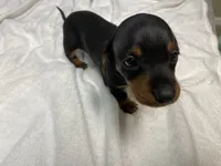 processed/e875d019-d1c3-4fdc-9722-7b762df54e96/listing/4bb14c07-c2ca-4515-a80e-f2bc6fc40cf1/afe4c0bc-ffac-4e27-a283-da62f7fdba19