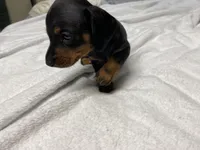 processed/e875d019-d1c3-4fdc-9722-7b762df54e96/listing/4bb14c07-c2ca-4515-a80e-f2bc6fc40cf1/d6fcca3d-ef34-4a8c-9c48-b9fa15a23c95