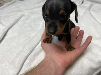 processed/e875d019-d1c3-4fdc-9722-7b762df54e96/listing/4bb14c07-c2ca-4515-a80e-f2bc6fc40cf1/e4568b16-bc5c-4d30-8554-1ec27c0949ed